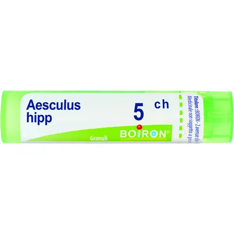 boiron Aesculus hippoc 5ch gr bo – immagine 1
