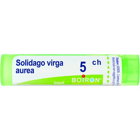 Granuli Solidago Virga Aurea 05Ch Boiron 4g – immagine 1