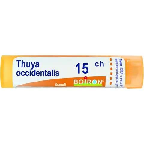 boiron Thuya occident 15ch gr bo – immagine 1