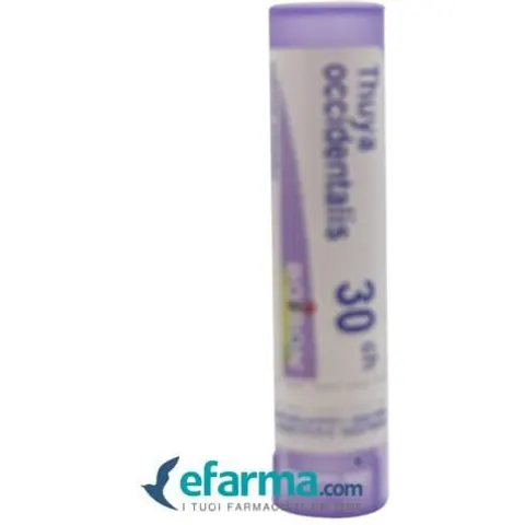 boiron Thuya occident 30ch gr bo – immagine 1