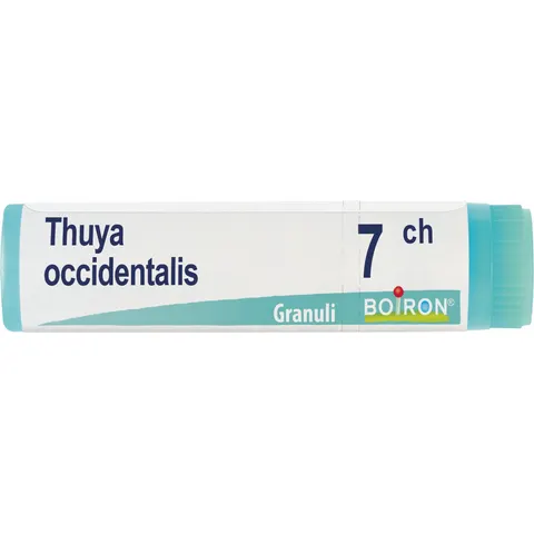 Thuya Occidentalis 7ch Globuli Monodose Boiron – immagine 1
