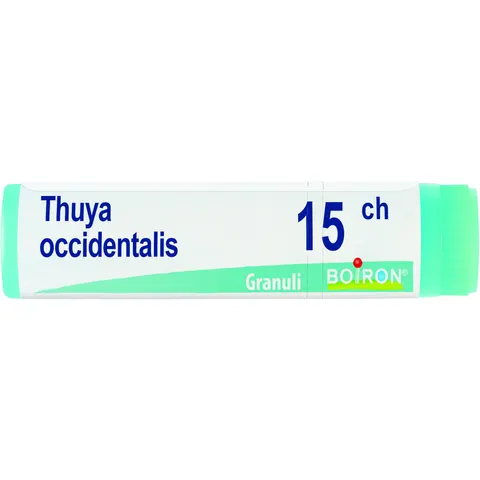 boiron Thuya occident 15ch gl bo – immagine 1