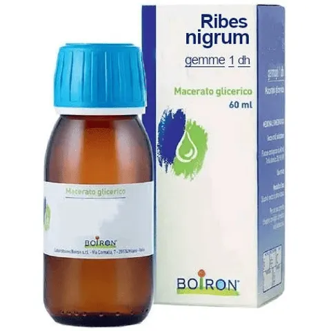 boiron Ribes nigrum gemme 60ml mg bo – immagine 1