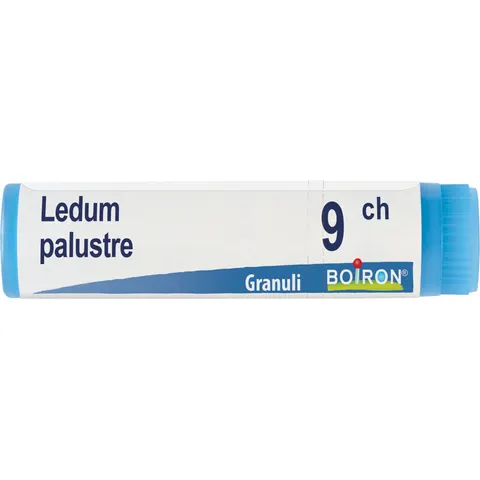 boiron Ledum palustre 9ch gl bo – immagine 1