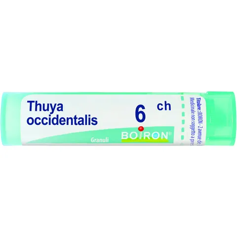 boiron Thuya occident 6ch gr bo – immagine 1