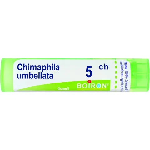 Chimaphila Umbellata 5ch Granuli Multidose Boiron – immagine 1
