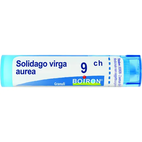 BOIRON Srl SOLIDAGO VIRGA AUREA GRAN 9CH – immagine 1