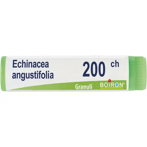 Boiron Echinacea Angust 200 Ch Dose 2020 – immagine 1