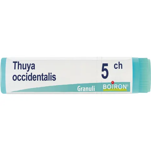 BOIRON Srl THUYA OCCIDENT 5CH GL – immagine 1