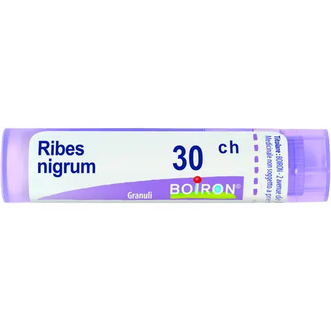 BOIRON Srl BO.RIBES NIGRUM 30CH GR – immagine 1