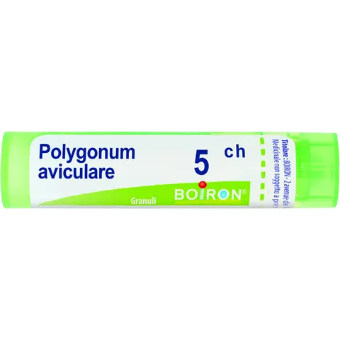 BOIRON Srl POLYGONUM AVICULARE GRAN 5CH – immagine 1