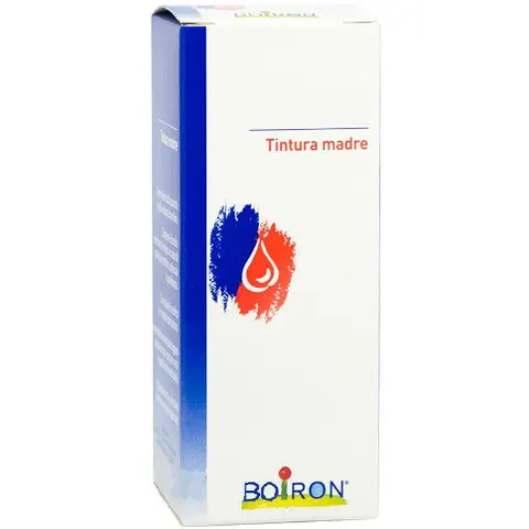 BOIRON Srl BOLDO TM 60ml – immagine 1