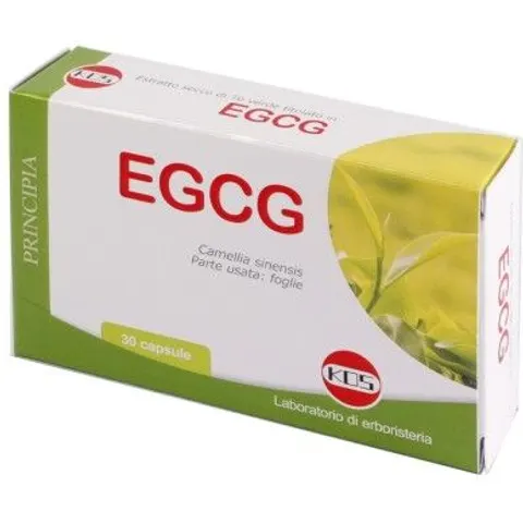KOS Srl EGCG THE VERDE 30CPS NF – immagine 1