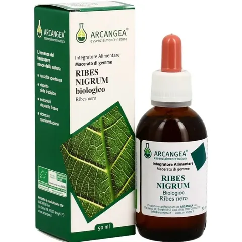 Arcangea Ribes Nigrum Gd 33 Bio 100 ml – immagine 1