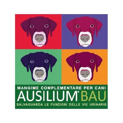 ausilium Bau 300 G Con Misurino – immagine 1