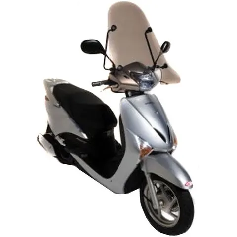 Pare brise Ermax CLASSICO DECOUPE OMEGA 65 CM clair – image 1