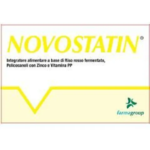 FARMA GROUP Srl NOVOSTATIN 20 Cpr – immagine 1
