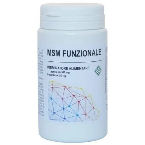 Gheos Msm Funzionale 120 Capsule – immagine 1