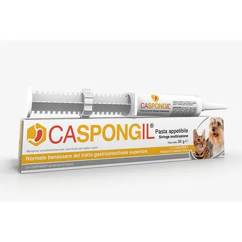 shedir Caspongil Pasta 30 G – immagine 1
