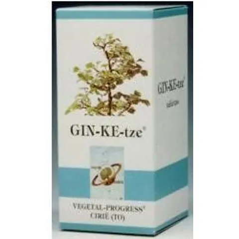 VEGETAL PROGRESS Srl GINKETZE 80TAV 600MG – immagine 1