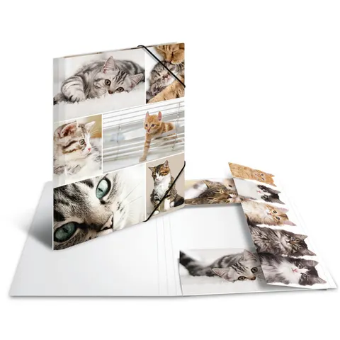 HERMA Sammelmappe A4 Katzen Pappe – Bild 1