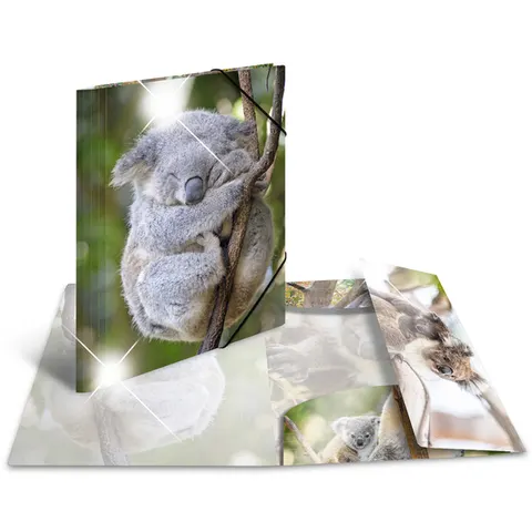 HERMA Sammelmappe A4 Glossy Koala Polypropylen – Bild 1