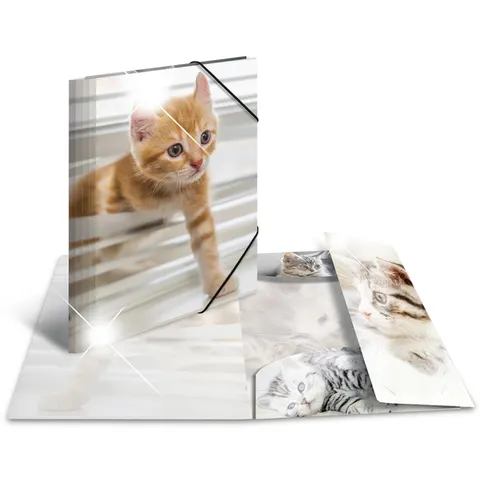 HERMA Sammelmappe A4 Glossy Katze Polypropylen – Bild 1
