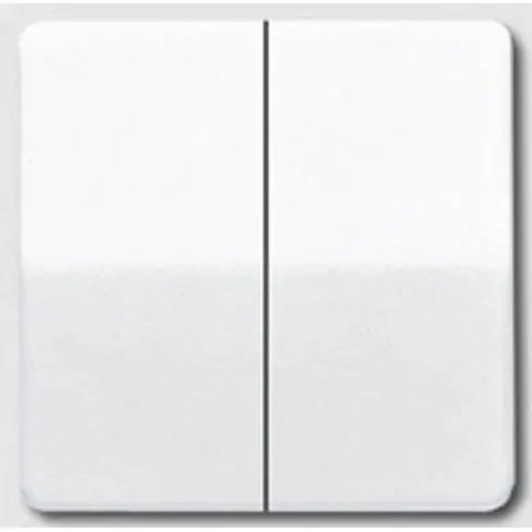 Elemento De Control/conmutador De Placa Central CD500 De Jung - CD595 – imagen 1