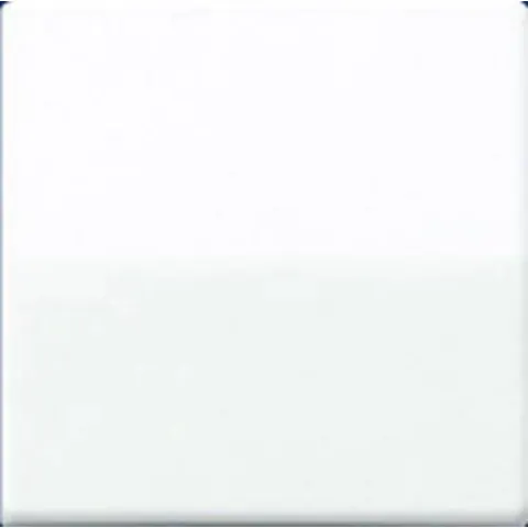 Jung Schakelwip -wit – afbeelding 1