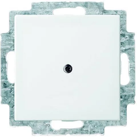 ABB Busch-Jaeger Balance SI Elemento De Control/Conmutador De Placa Central - 2CKA001715A0319 – imagen 1