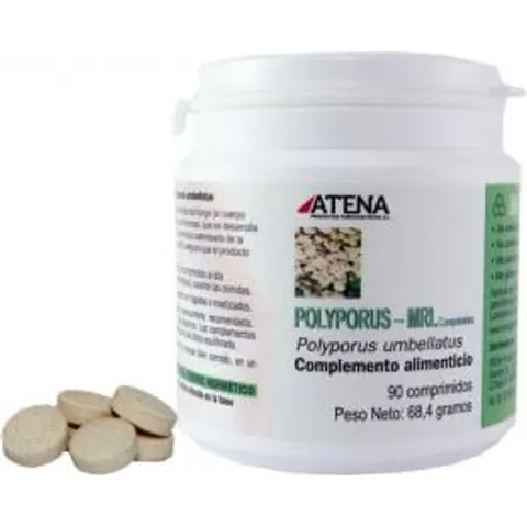 Atena polyporus-mrl 500mg. 90conp. – imagen 1