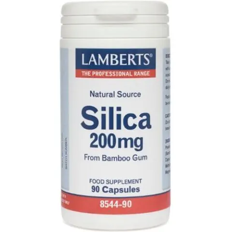 Lamberts SILICA 200mg 90 Caps – imagen 1