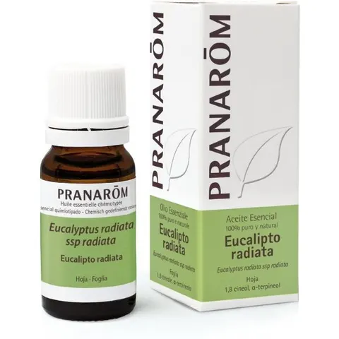 Pranarom Aceite Esencial Eucalipto Radiata 10 ml – imagen 1