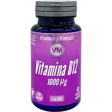 Ynsadiet vitamina b12 1000µg 60cap. – imagen 1
