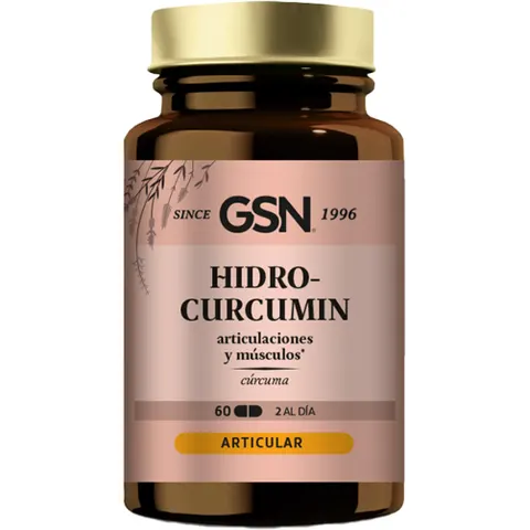 GSN Hidrocurcumin 60 caps – imagen 1