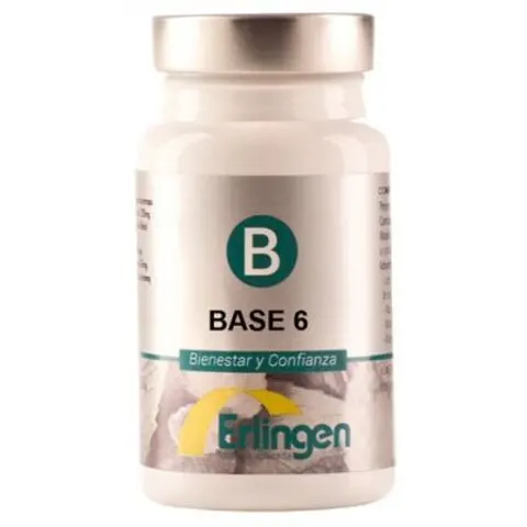 Erlingen Base 6 60comp – imagen 1