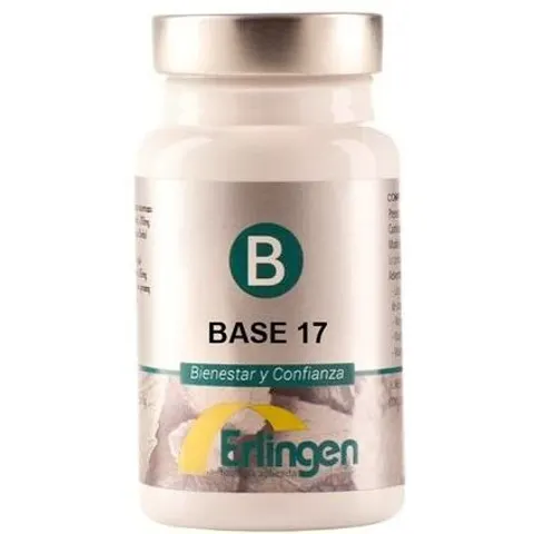Erlingen Base 17 60 comp – imagen 1