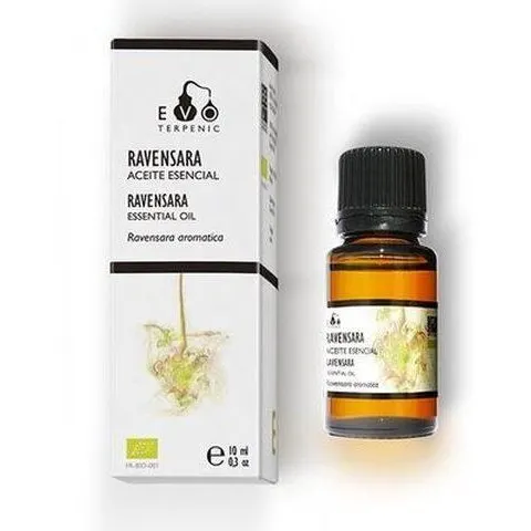 Terpenic Lab Aceite Esencial Ravensara 10 ml – imagen 1