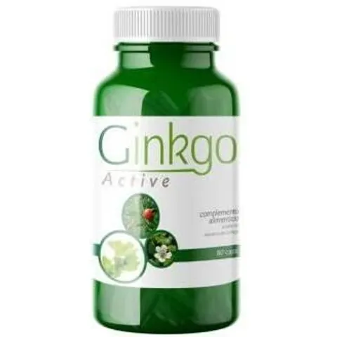 Saludalkalina ginkgo active 60cap. – imagen 1