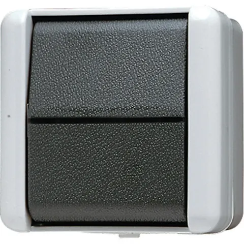 Jung WG800 Installatieschakelaar - 806W - E2GBF – afbeelding 1