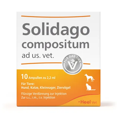 Solidago compositum ad us. vet. 10 St Ampullen – Bild 1