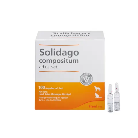 Solidago Compositum Ampullen ad usus veterinär – Bild 1