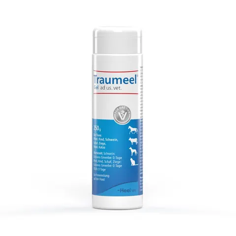 Traumeel Gel ad us. vet. – Bild 1