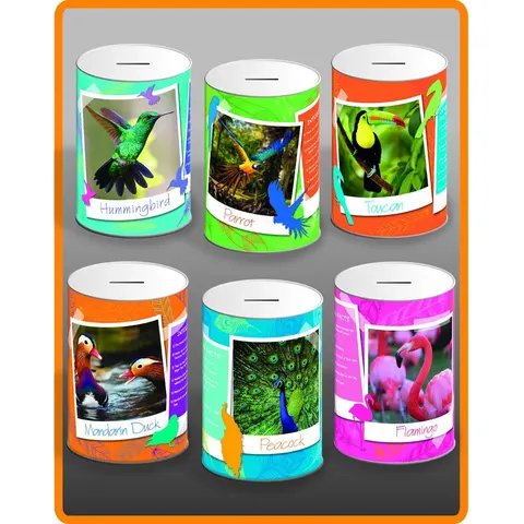 E x otic Birds Money Tin Assorted Designs – image 1