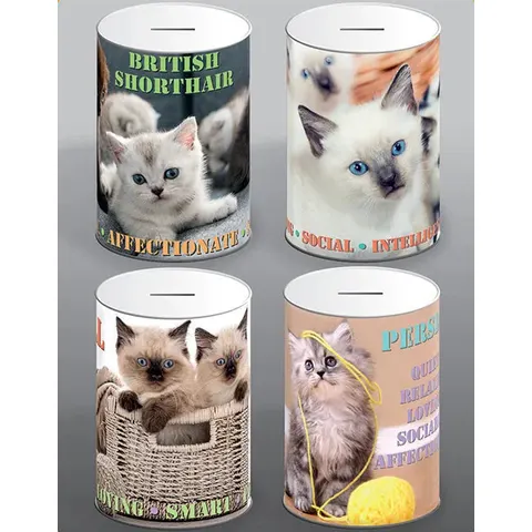Cat Money Tin Assorted Designs – image 1