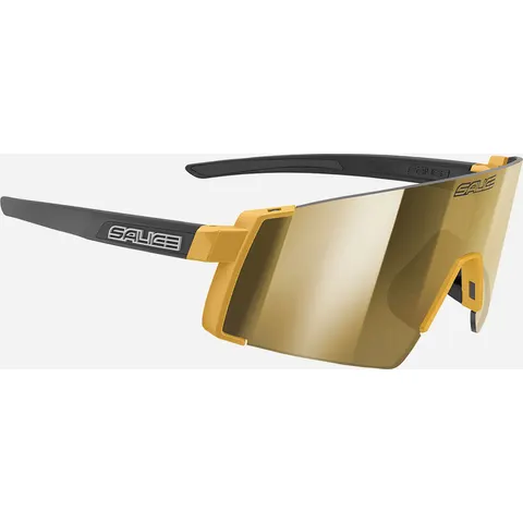 Lunettes de soleil Salice 027RW – Doré – image 1