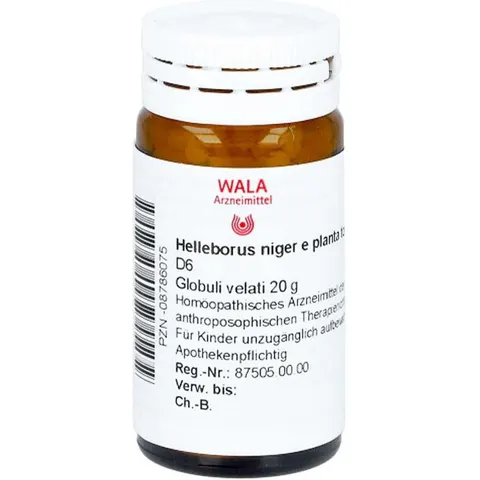 Wala Helleborus Niger E Planta Tota D6 Globuli – Bild 1
