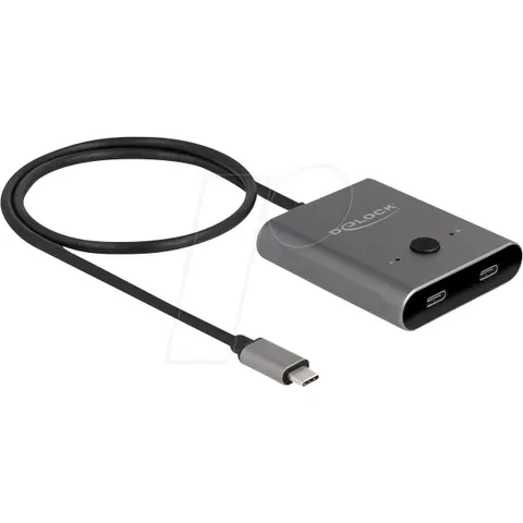 Delock 11500 USB-C (USB 3.2 Gen 2) adapter Grijs – afbeelding 1