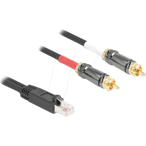DELOCK 88171 - Cinch Audio Extender & Adapter, Cat. 5, 2 m – image 1
