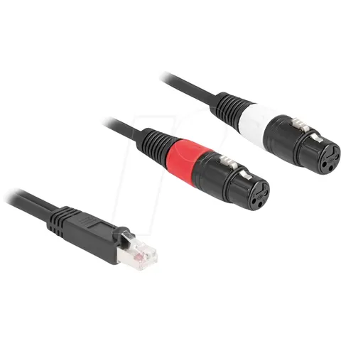 DELOCK 88176 - XLR Audio Extender & Adapter, Cat. 5, 2 m – image 1